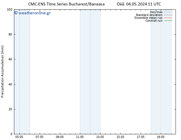 Precipitation accum. CMC TS  05.05.2024 11 UTC