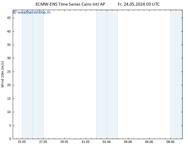 Surface wind ALL TS Fr 31.05.2024 03 UTC