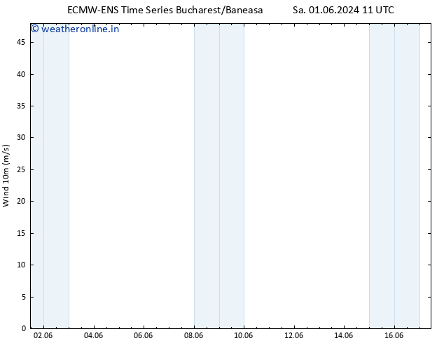 Surface wind ALL TS Su 02.06.2024 11 UTC