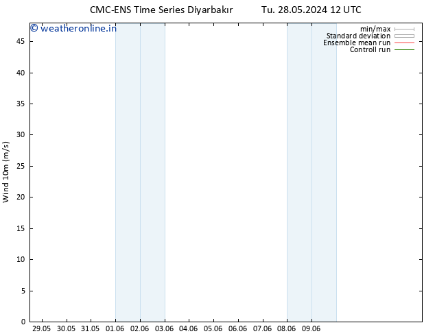 Surface wind CMC TS Fr 31.05.2024 12 UTC