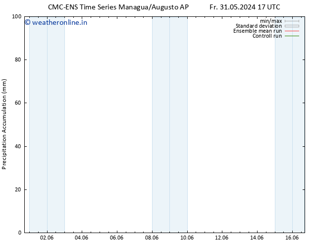 Precipitation accum. CMC TS Su 02.06.2024 05 UTC