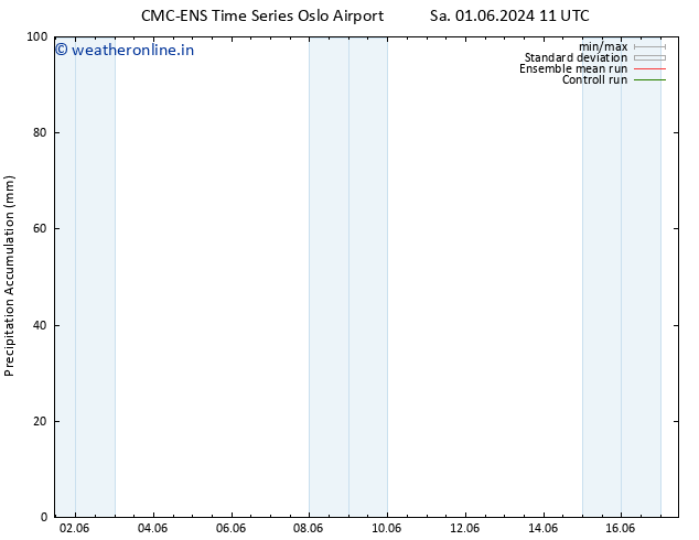 Precipitation accum. CMC TS Tu 11.06.2024 11 UTC