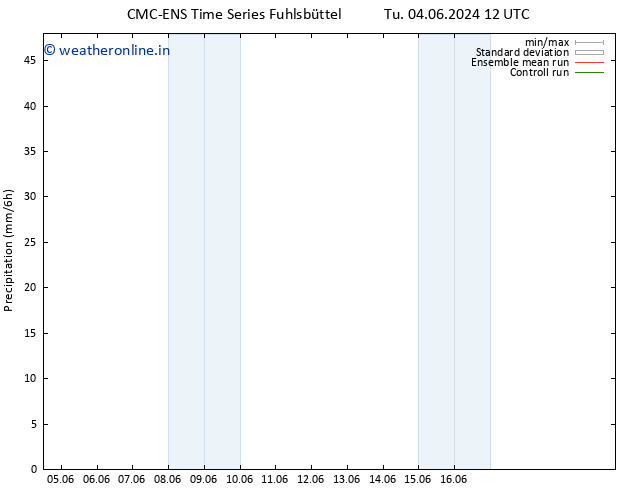 Precipitation CMC TS We 12.06.2024 12 UTC