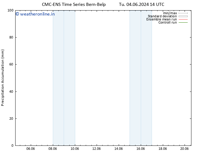 Precipitation accum. CMC TS Tu 04.06.2024 14 UTC