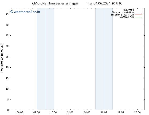 Precipitation CMC TS Th 13.06.2024 20 UTC