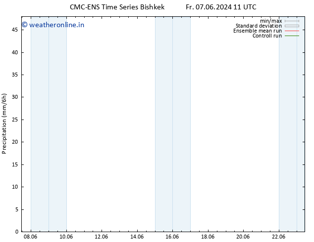 Precipitation CMC TS Th 13.06.2024 11 UTC