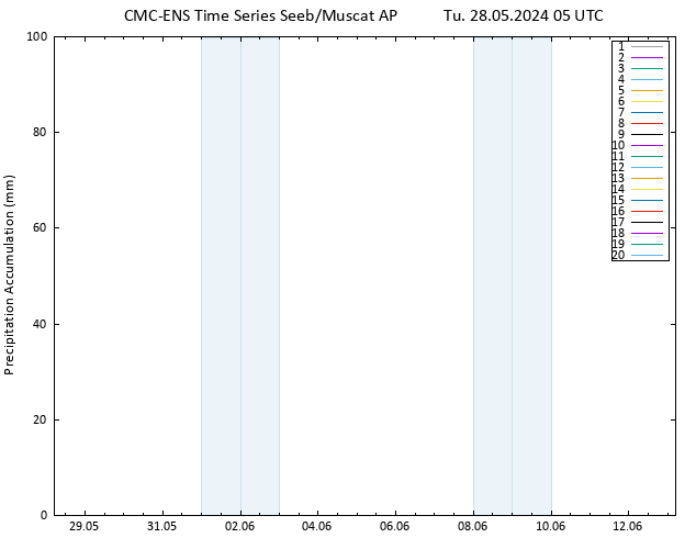 Precipitation accum. CMC TS Tu 28.05.2024 05 UTC