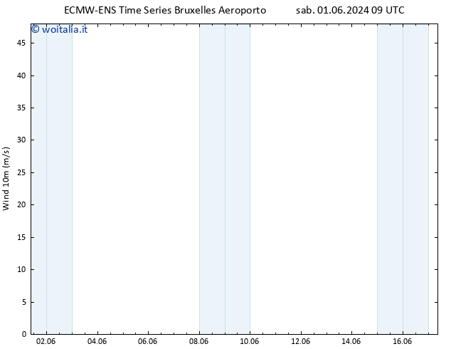 Vento 10 m ALL TS mar 11.06.2024 09 UTC