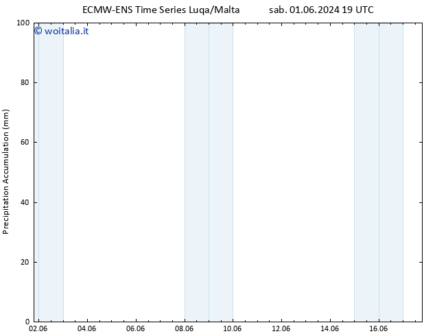 Precipitation accum. ALL TS lun 03.06.2024 13 UTC