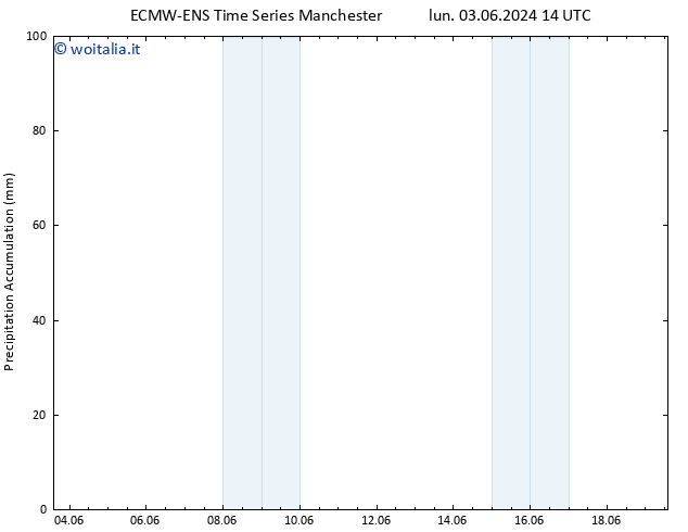 Precipitation accum. ALL TS lun 03.06.2024 20 UTC