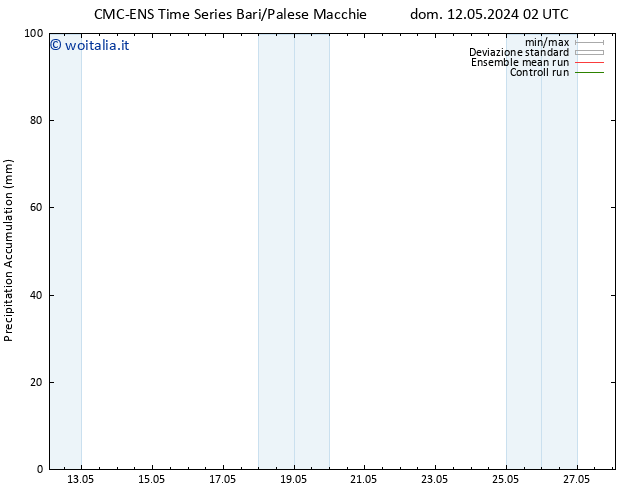 Precipitation accum. CMC TS mar 21.05.2024 02 UTC