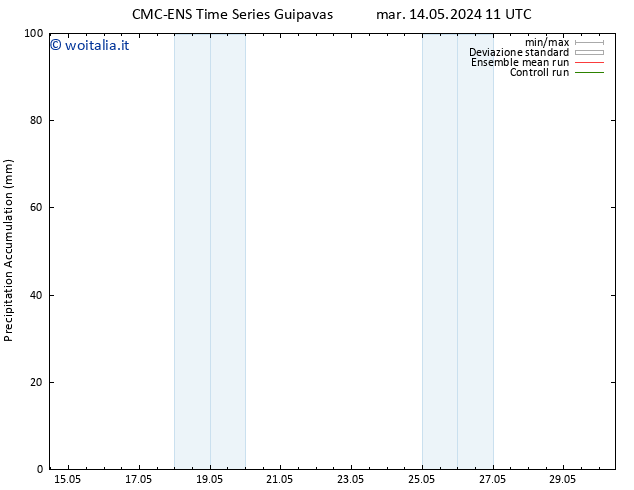 Precipitation accum. CMC TS lun 20.05.2024 11 UTC