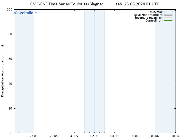 Precipitation accum. CMC TS sab 25.05.2024 01 UTC