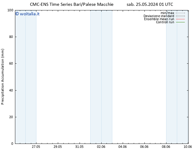 Precipitation accum. CMC TS sab 25.05.2024 19 UTC
