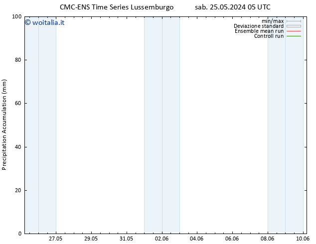 Precipitation accum. CMC TS sab 25.05.2024 11 UTC