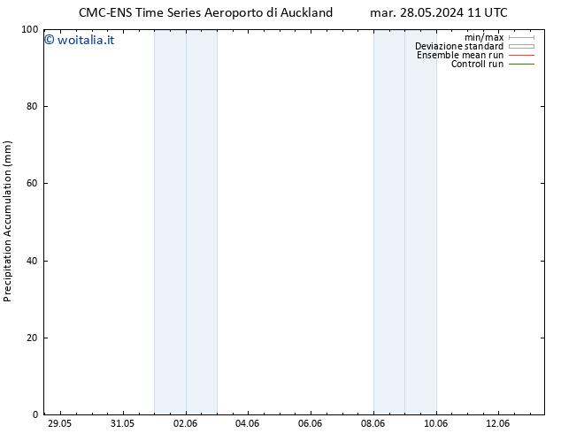 Precipitation accum. CMC TS sab 01.06.2024 11 UTC