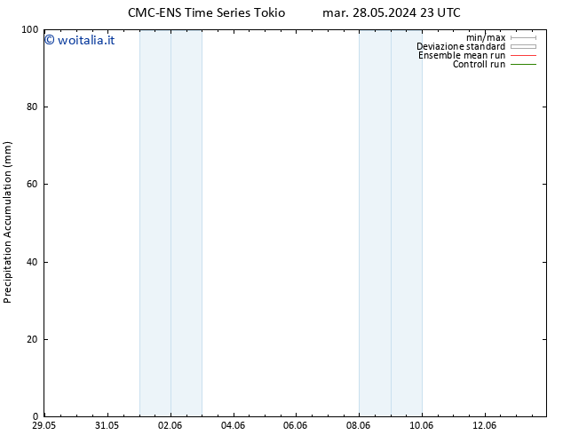 Precipitation accum. CMC TS mer 29.05.2024 05 UTC