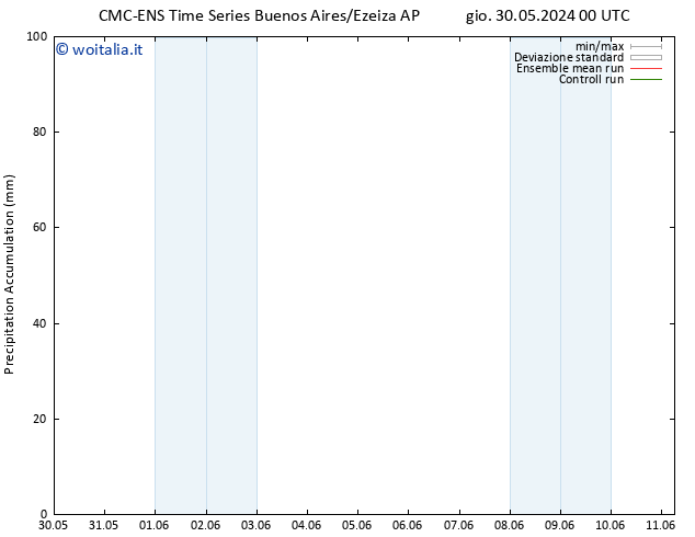 Precipitation accum. CMC TS lun 03.06.2024 06 UTC