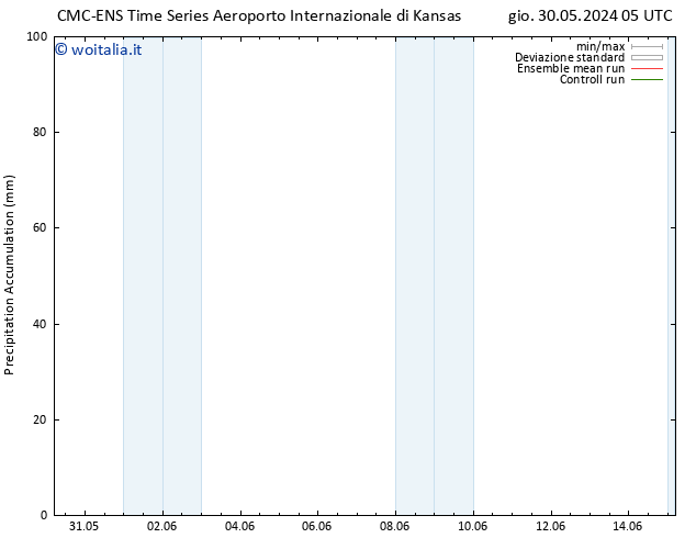 Precipitation accum. CMC TS dom 02.06.2024 17 UTC