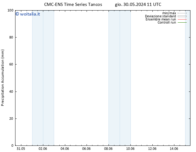 Precipitation accum. CMC TS mer 05.06.2024 11 UTC
