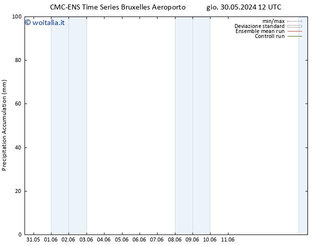 Precipitation accum. CMC TS mer 05.06.2024 12 UTC