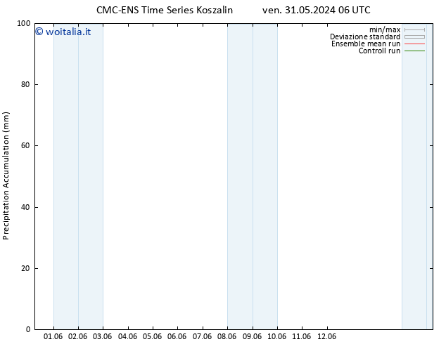 Precipitation accum. CMC TS ven 31.05.2024 12 UTC