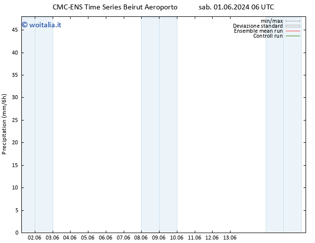 Precipitazione CMC TS gio 13.06.2024 12 UTC