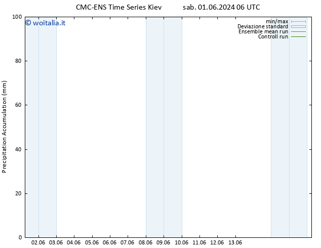 Precipitation accum. CMC TS sab 01.06.2024 12 UTC