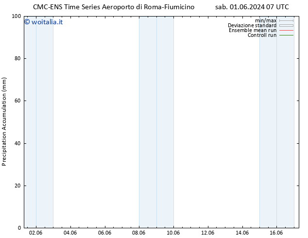 Precipitation accum. CMC TS gio 13.06.2024 07 UTC