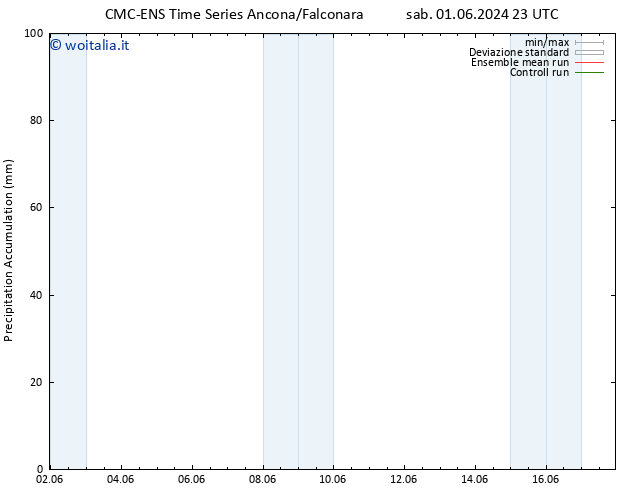 Precipitation accum. CMC TS dom 02.06.2024 23 UTC