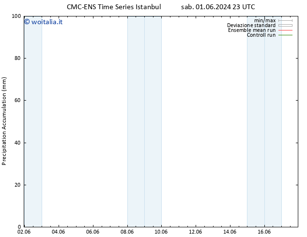 Precipitation accum. CMC TS dom 02.06.2024 11 UTC