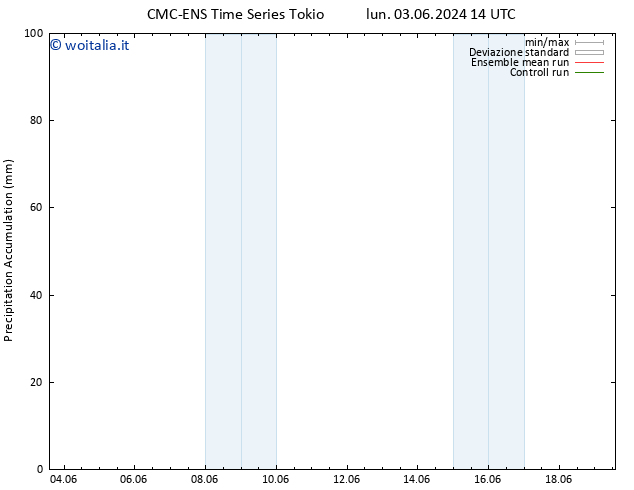 Precipitation accum. CMC TS sab 08.06.2024 08 UTC