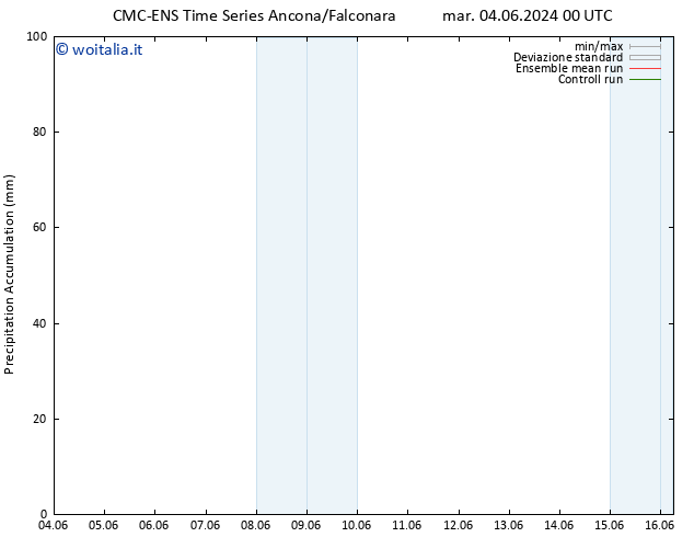 Precipitation accum. CMC TS mer 12.06.2024 00 UTC