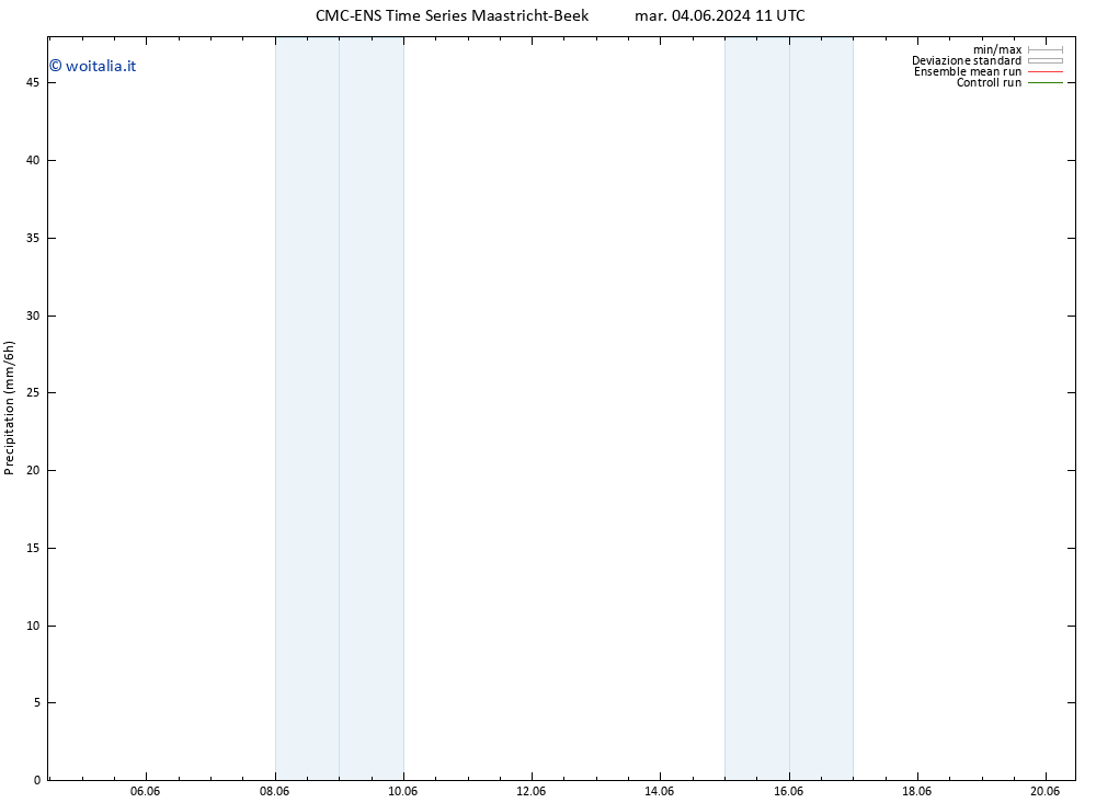 Precipitazione CMC TS mar 04.06.2024 11 UTC