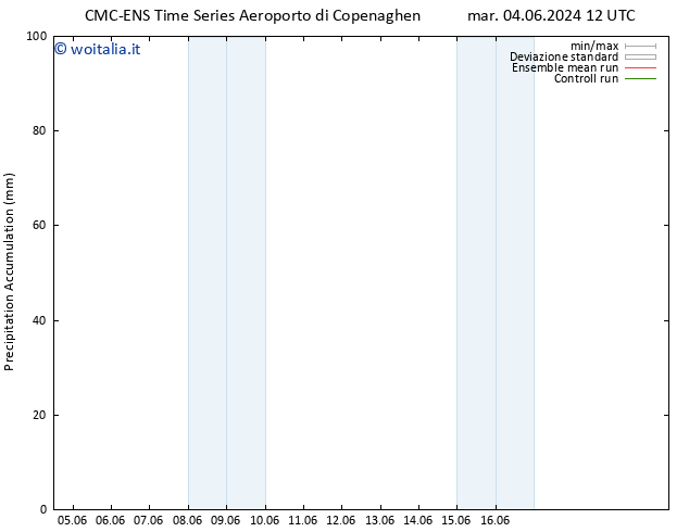 Precipitation accum. CMC TS mer 12.06.2024 00 UTC