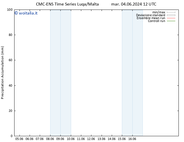 Precipitation accum. CMC TS mar 04.06.2024 18 UTC