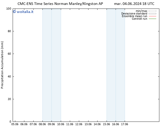 Precipitation accum. CMC TS mar 04.06.2024 18 UTC