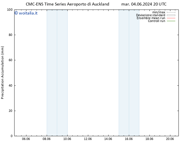 Precipitation accum. CMC TS ven 07.06.2024 20 UTC