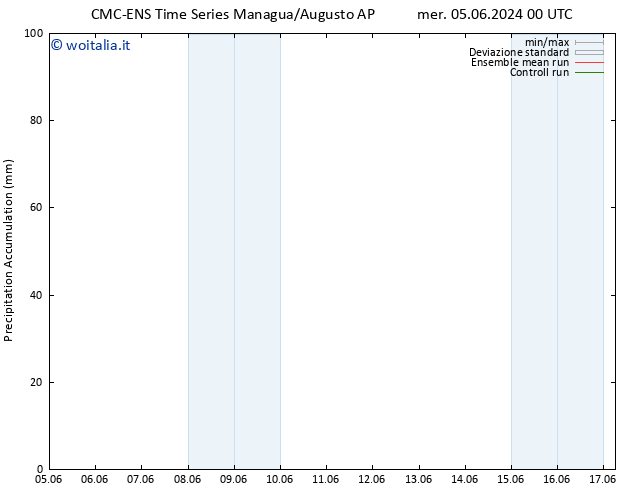 Precipitation accum. CMC TS mer 05.06.2024 12 UTC