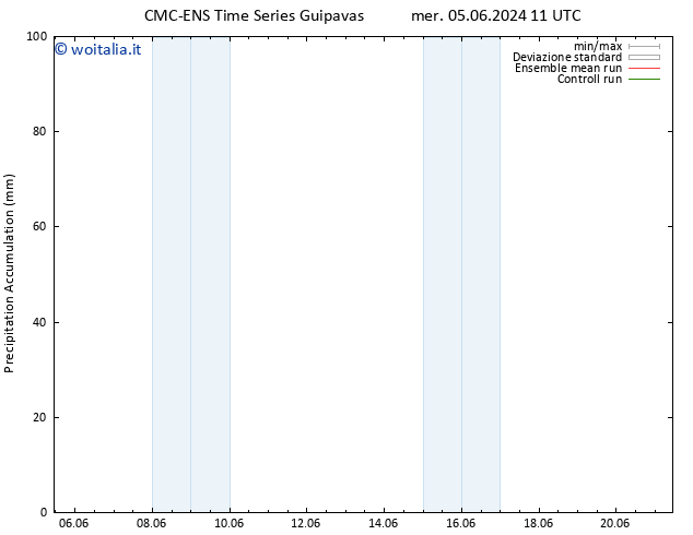 Precipitation accum. CMC TS mer 12.06.2024 23 UTC