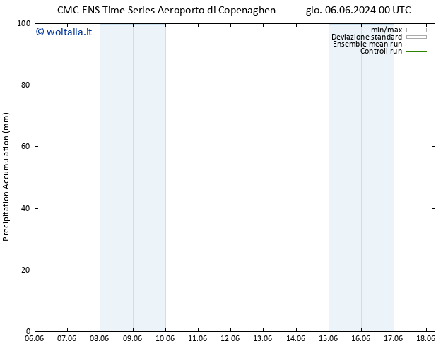 Precipitation accum. CMC TS gio 13.06.2024 12 UTC