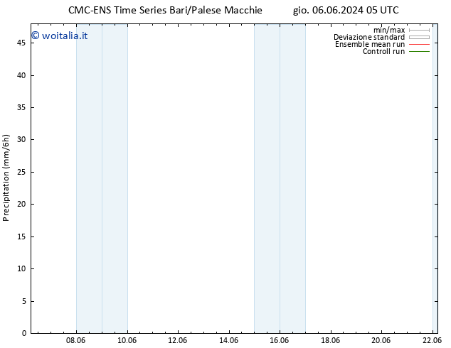 Precipitazione CMC TS gio 13.06.2024 17 UTC