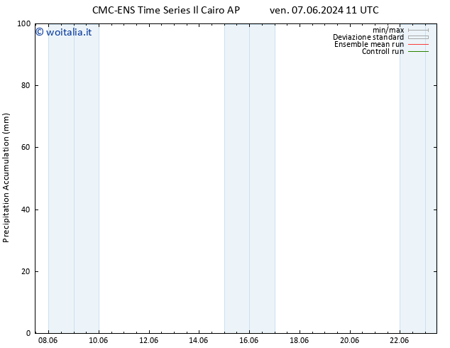 Precipitation accum. CMC TS ven 14.06.2024 11 UTC