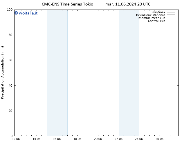 Precipitation accum. CMC TS dom 16.06.2024 02 UTC