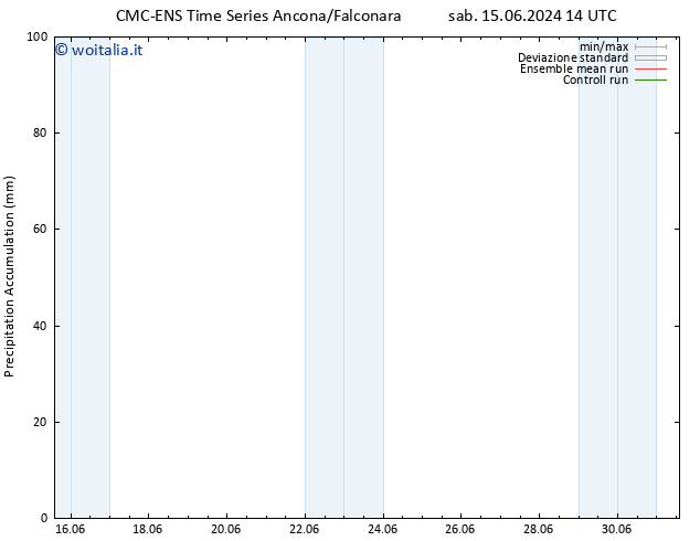 Precipitation accum. CMC TS lun 17.06.2024 14 UTC