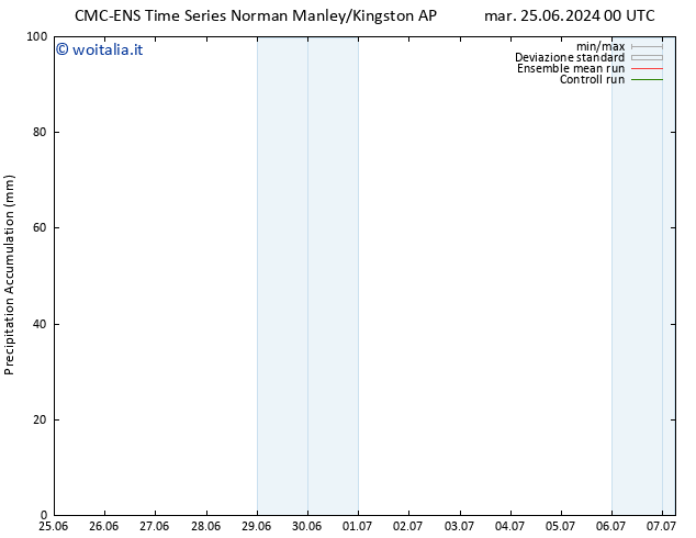 Precipitation accum. CMC TS mar 25.06.2024 06 UTC