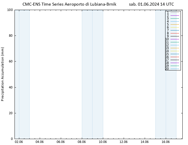 Precipitation accum. CMC TS sab 01.06.2024 14 UTC