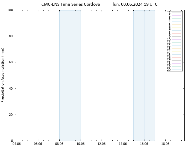 Precipitation accum. CMC TS lun 03.06.2024 19 UTC