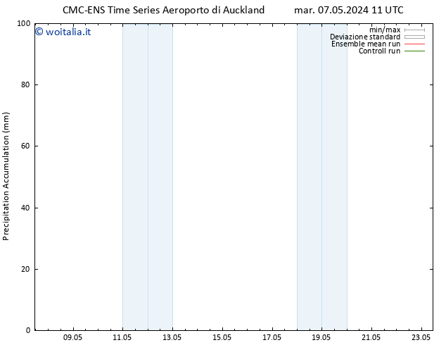Precipitation accum. CMC TS sab 11.05.2024 11 UTC
