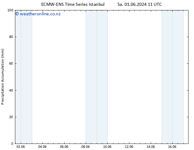 Precipitation accum. ALL TS Sa 01.06.2024 17 UTC